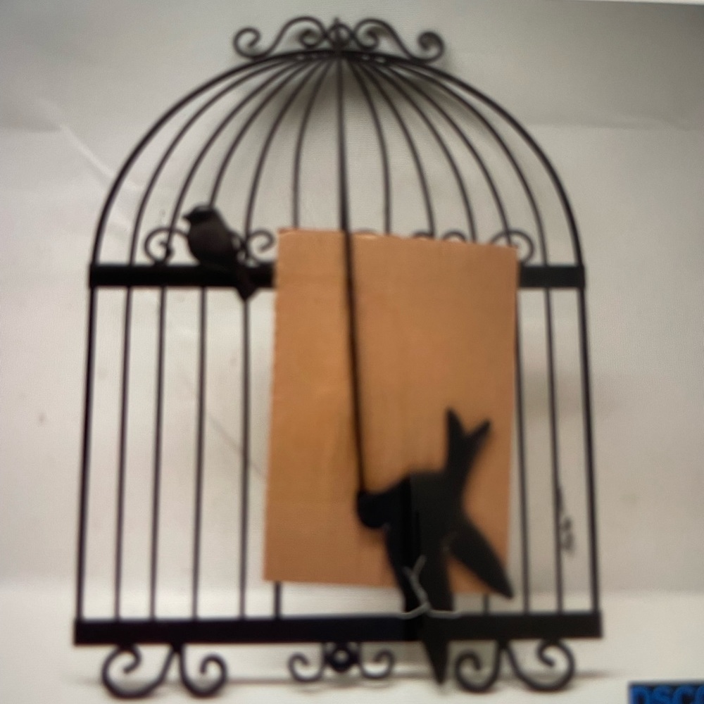Beautiful Bird Cage (One Dimensional) Wall Art by PLASTEC